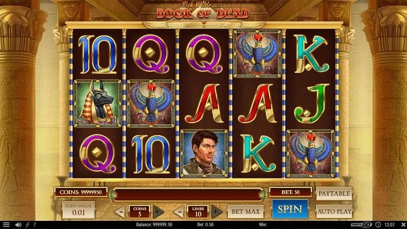 No limit gokkast Book of Dead